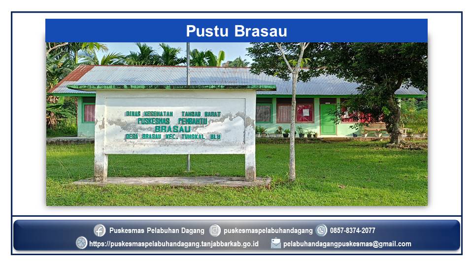 Pustu Brasau